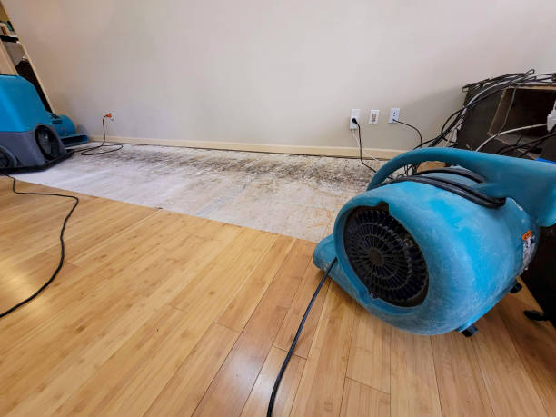 Professional Emergency Water Damage technician working in Evergreen, AL